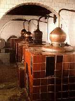 Gin de Mahón - Illes Balears - Productes agroalimentaris, denominacions d'origen i gastronomia balear
